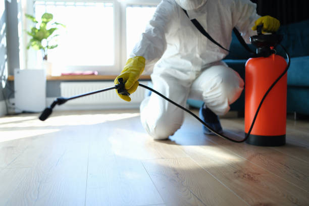 Reliable Odor Removal contractor in Coalinga, CA by Trauma Clean Pros